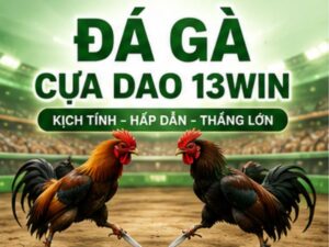 Đá Gà Cựa Dao 13WIN