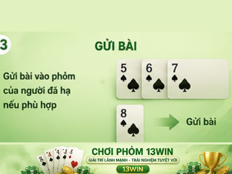 Quy tắc gửi bài